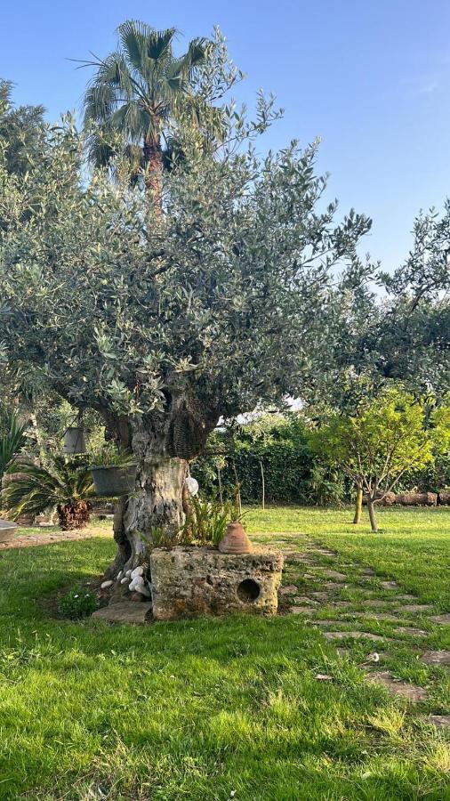 La Finestra Sul Limone Panzió Castelvetrano Kültér fotó