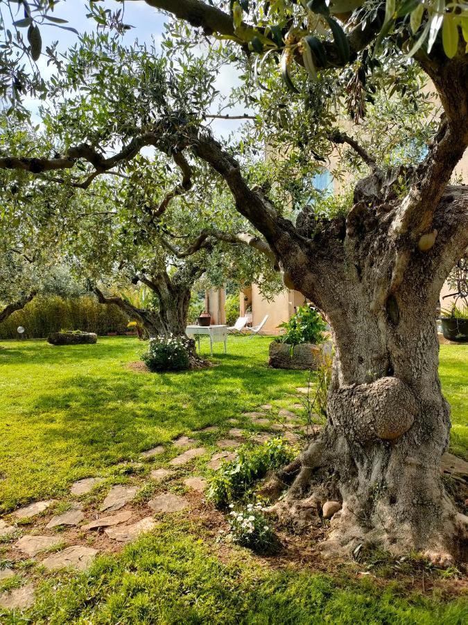 La Finestra Sul Limone Panzió Castelvetrano Kültér fotó