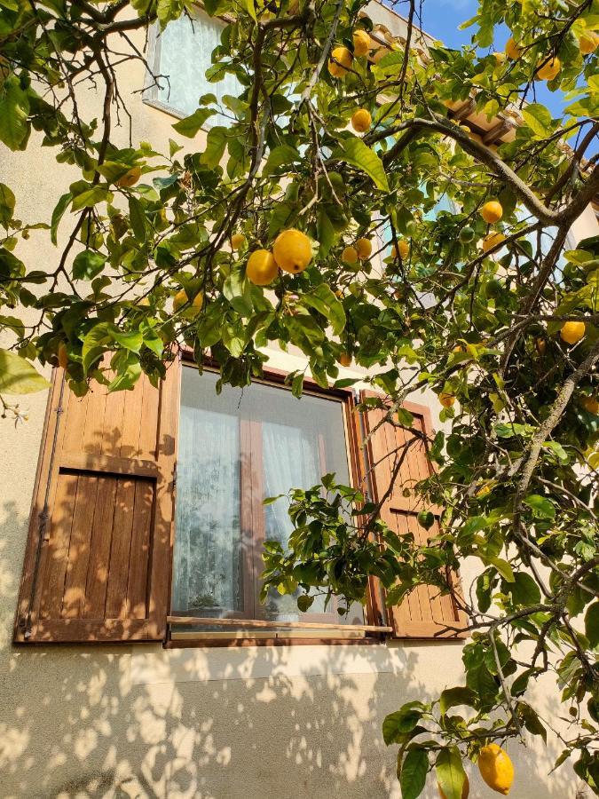 La Finestra Sul Limone Panzió Castelvetrano Kültér fotó